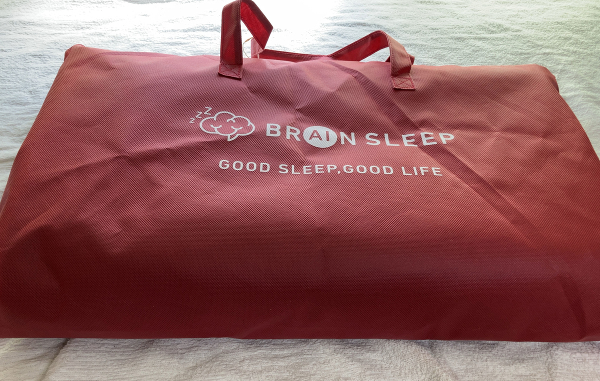 f:id:ICHIZO:20210615231651j:plain