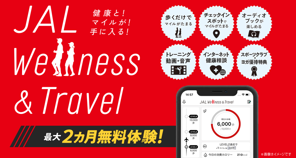 f:id:ICHIZO:20210616235415j:plain