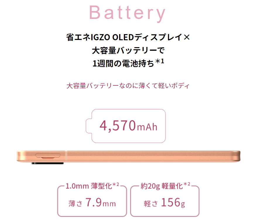 f:id:ICHIZO:20210929040421j:plain