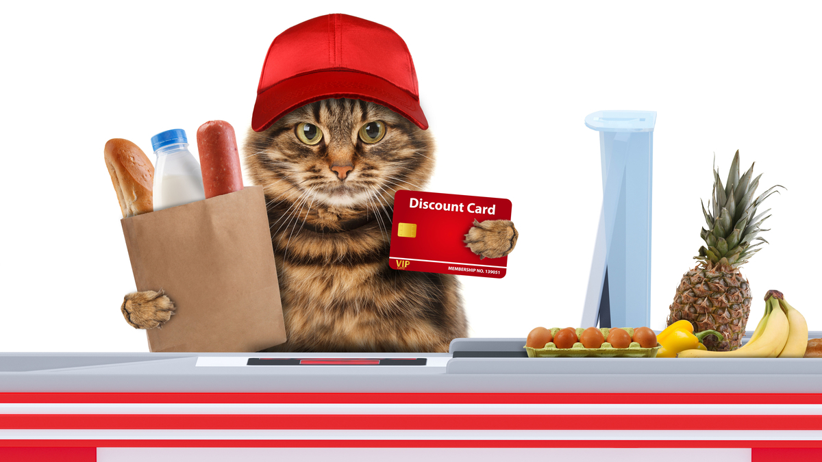 f:id:ICHIZO:20220222030059j:plain