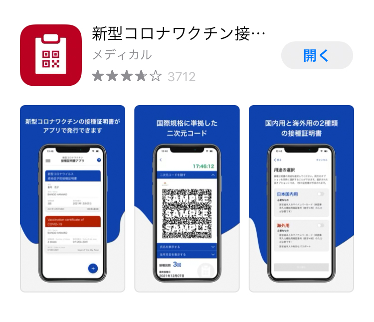 f:id:ICHIZO:20220314054911j:plain