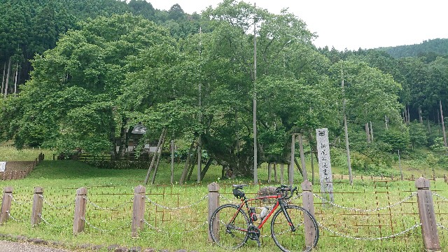 f:id:IKE58:20200630170626j:image f:id:IKE58:20200630170626j:image