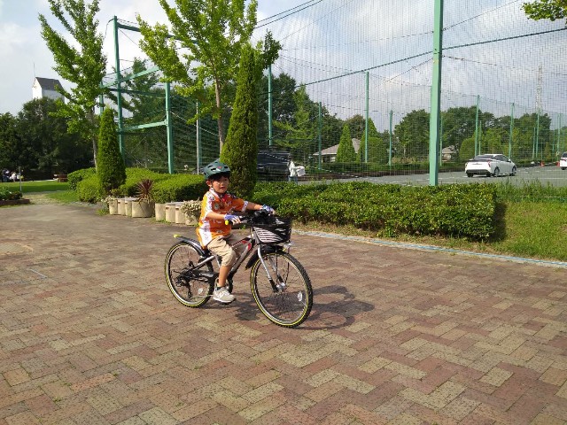 f:id:IKE58:20200805165100j:image f:id:IKE58:20200805165100j:image