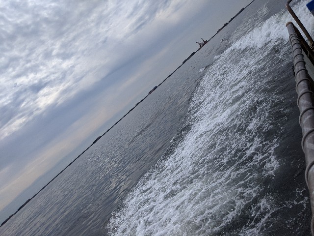 f:id:IKKAN:20201019114347j:plain