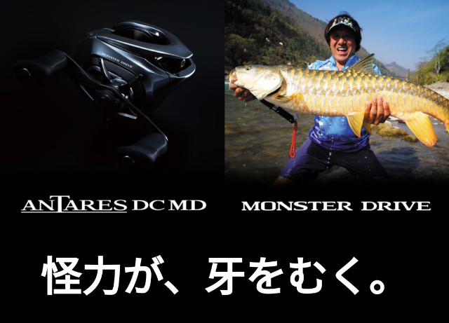 f:id:IKKAN:20201120065952j:plain
