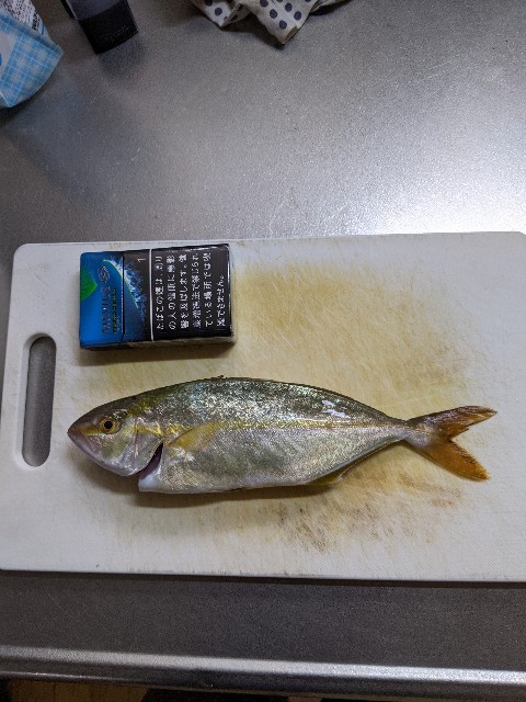 f:id:IKKAN:20210701203455j:plain