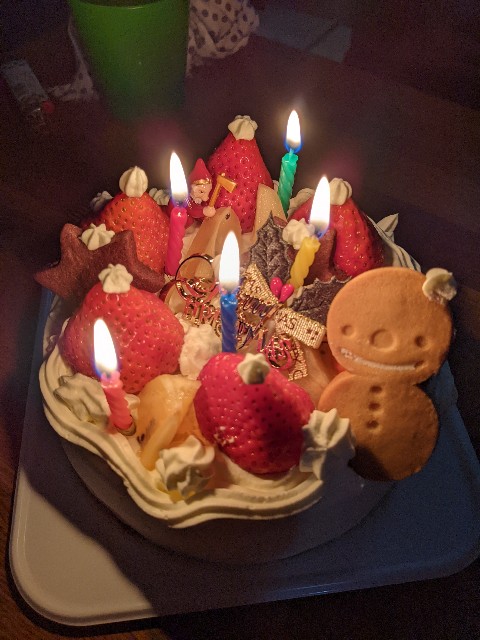 f:id:IKKAN:20211225215809j:plain