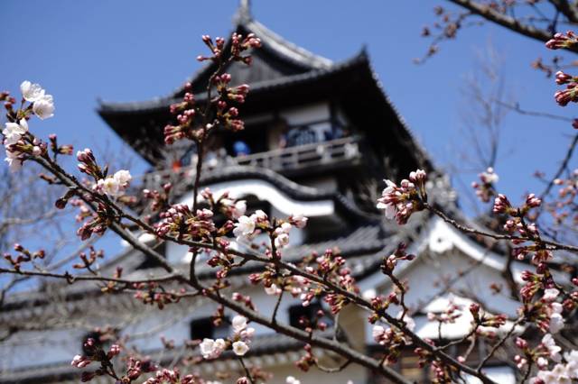 f:id:IMK:20170503123628j:plain