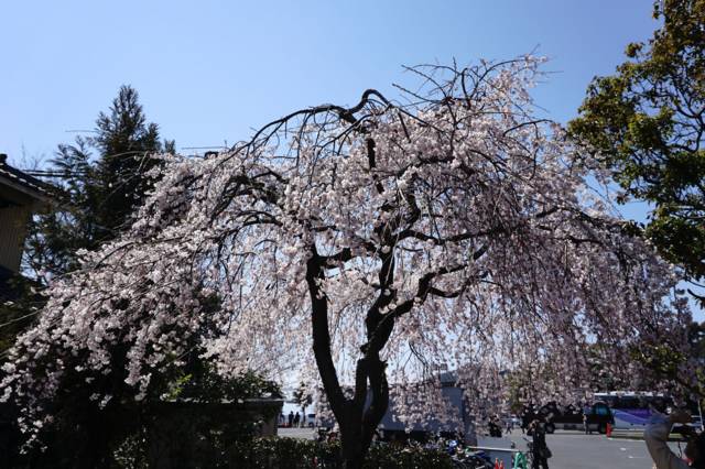 f:id:IMK:20170504190010j:plain