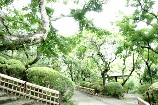 f:id:IMK:20170728165041j:plain