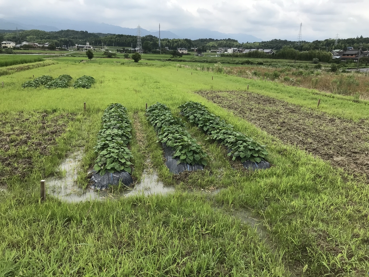 f:id:IMO-14002:20190711101807j:plain