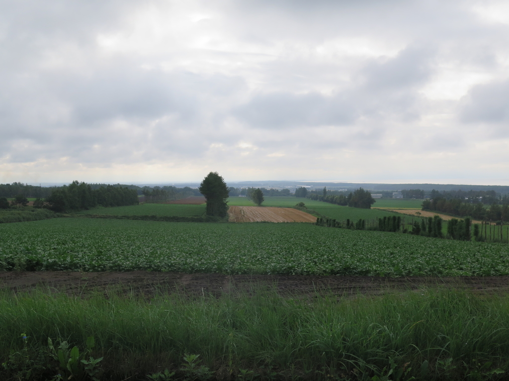 f:id:IMP8566:20180916221218j:plain