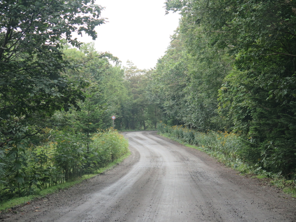 f:id:IMP8566:20180923002141j:plain