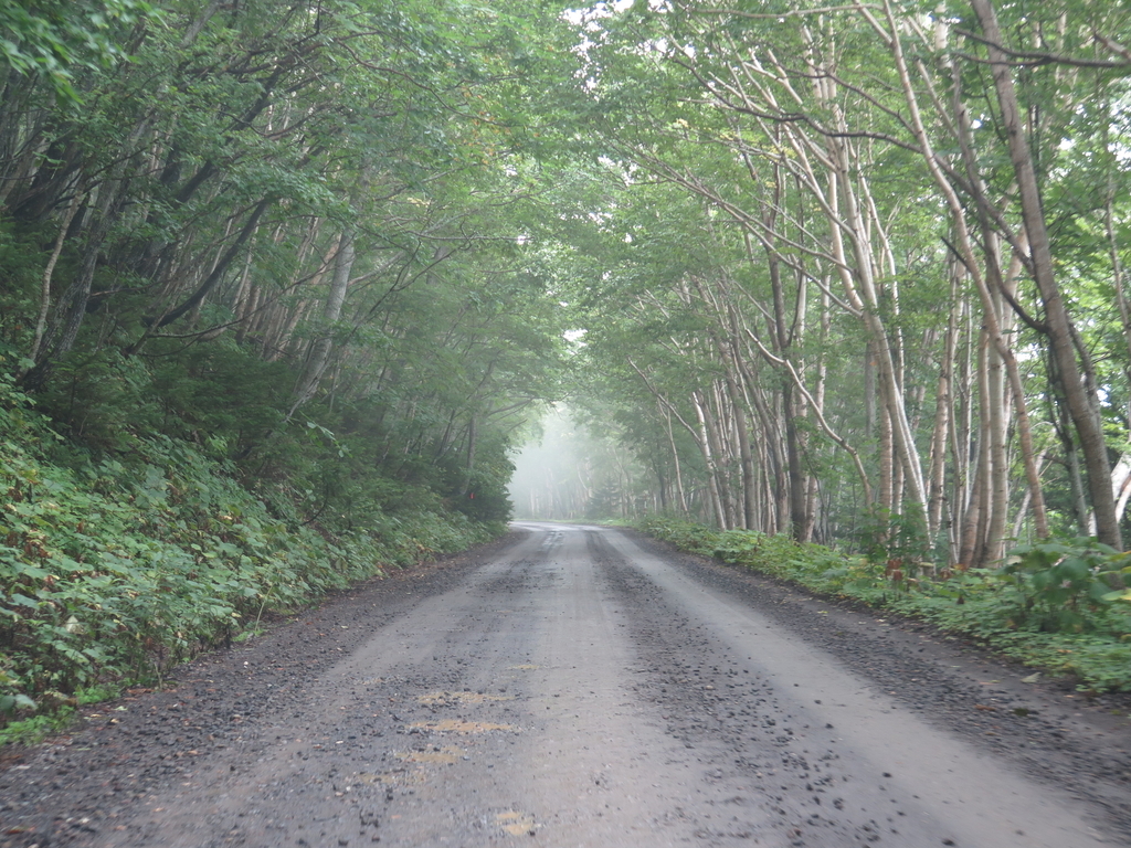 f:id:IMP8566:20180923002315j:plain