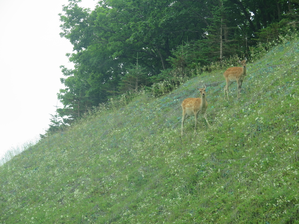 f:id:IMP8566:20180923002415j:plain