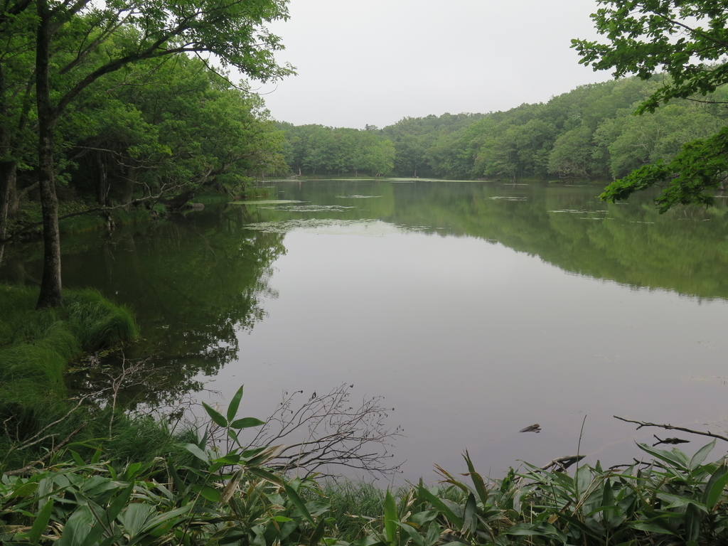 f:id:IMP8566:20180923003429j:plain