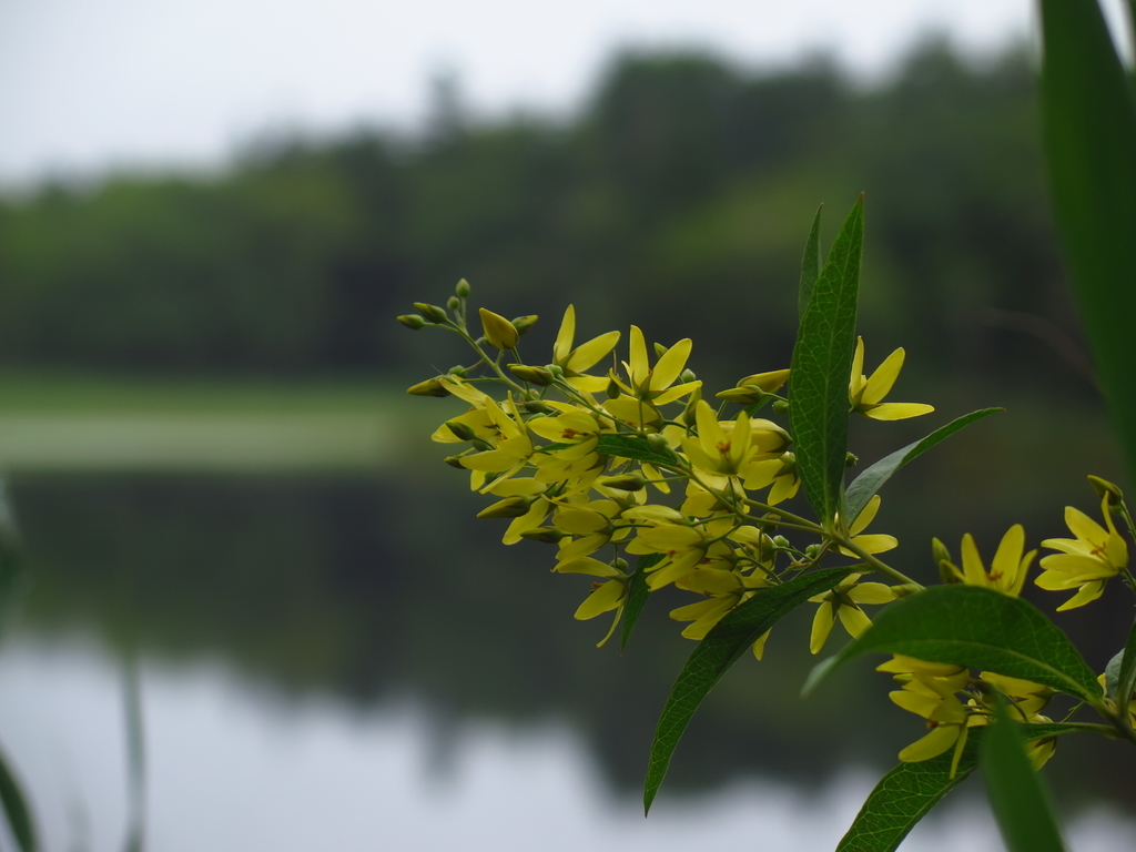 f:id:IMP8566:20180923003640j:plain