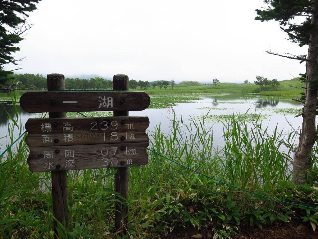 f:id:IMP8566:20180923003735j:plain