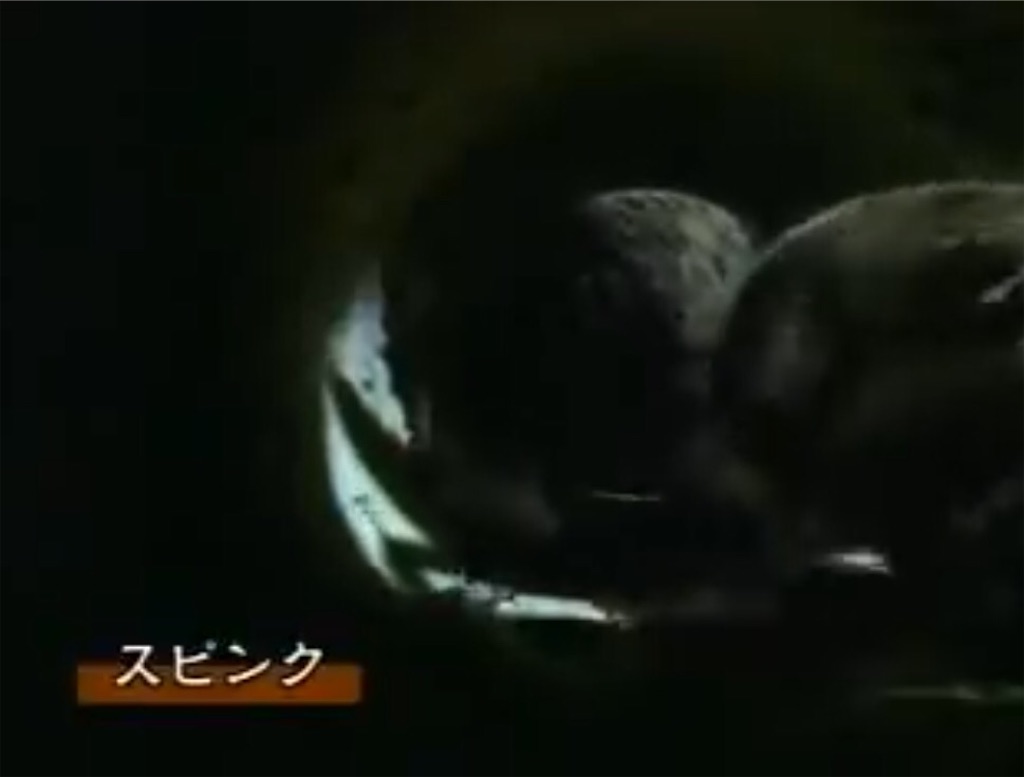 f:id:IMURUTA:20180216113813j:image 500万年後の生物