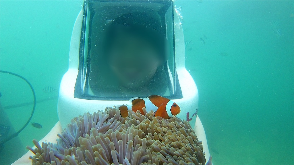 f:id:IMURUTA:20180517232843j:image コタキナバルで海底歩行(シーウォーキング)している
