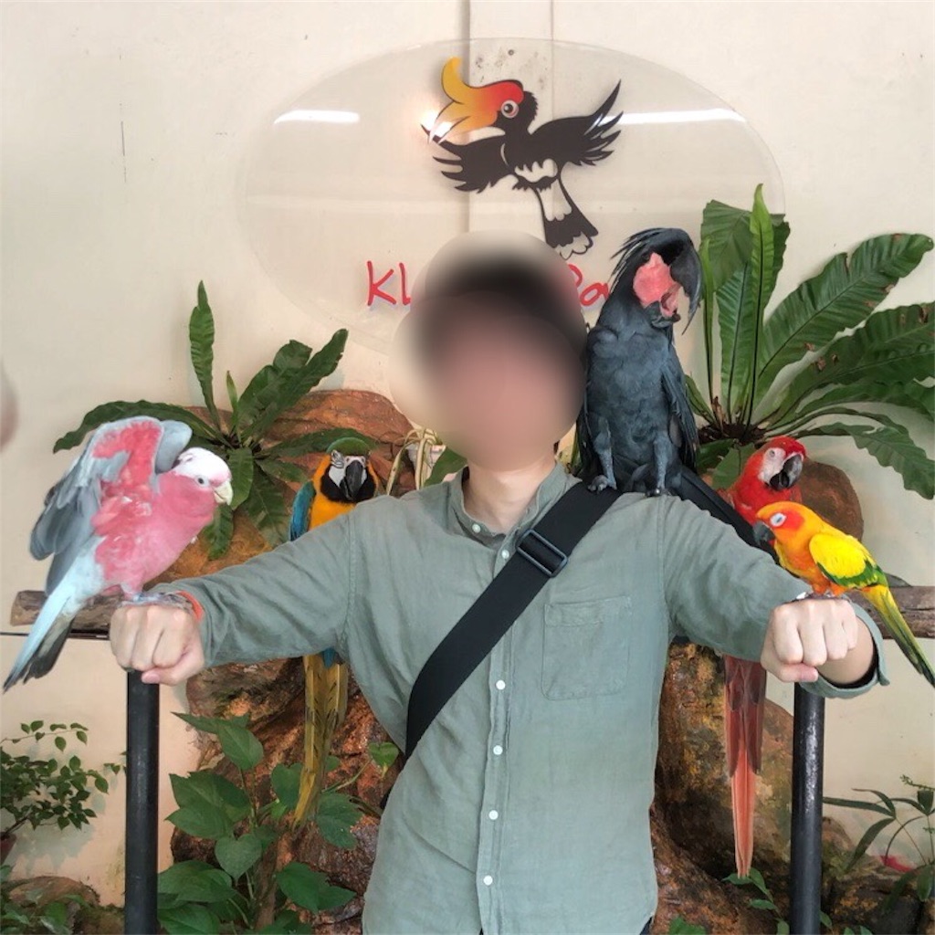 f:id:IMURUTA:20180522111944j:image f:id:IMURUTA:20180522111944j:image