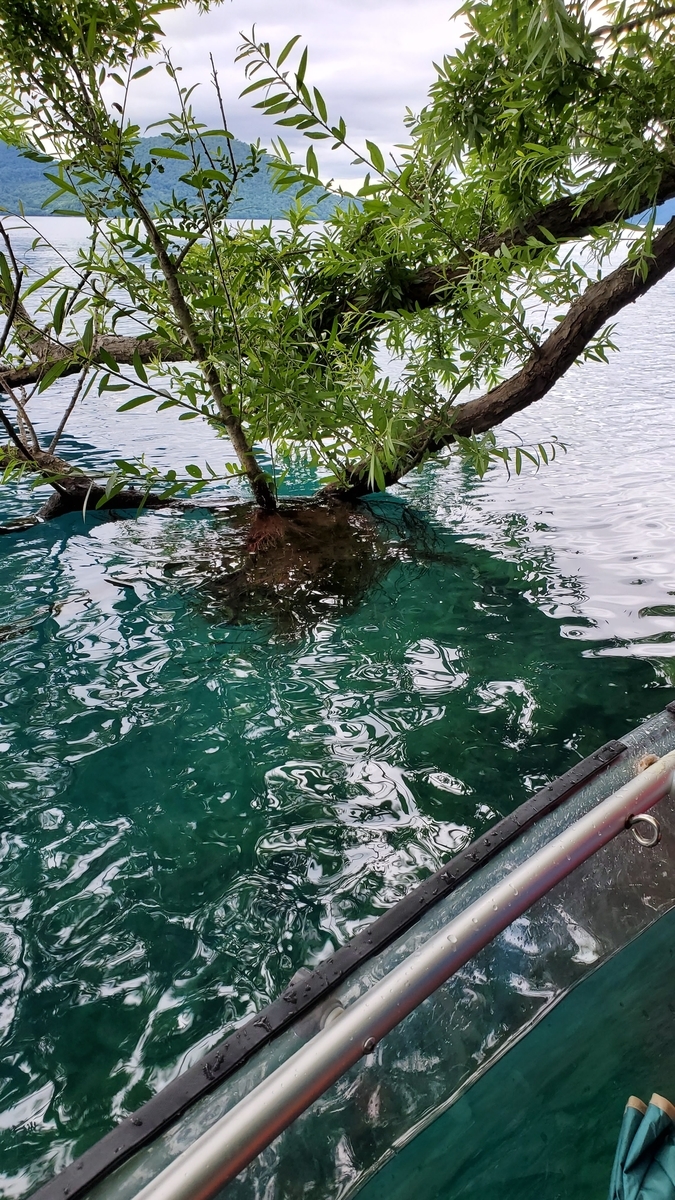 f:id:IMURUTA:20190717003300j:plain 洞爺湖(北海道)でクリアカヌーを体験してきた感想ブログ