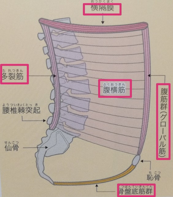 f:id:INOSHISHI:20190605072702j:image f:id:INOSHISHI:20190605072702j:image