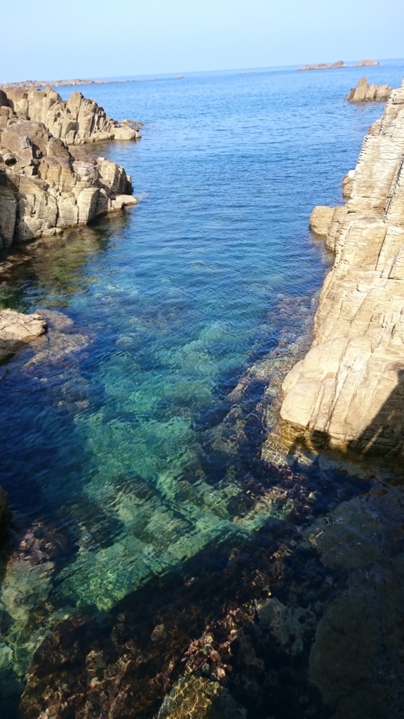 f:id:INU-SUN:20160915215421j:plain f:id:INU-SUN:20160915215421j:plain