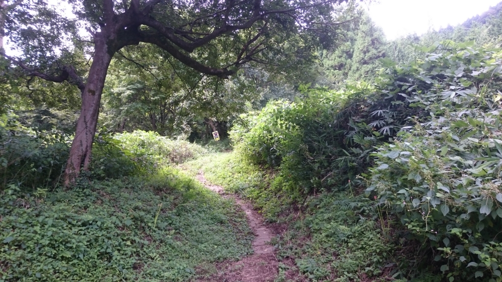 f:id:INU-SUN:20161011132807j:plain f:id:INU-SUN:20161011132807j:plain