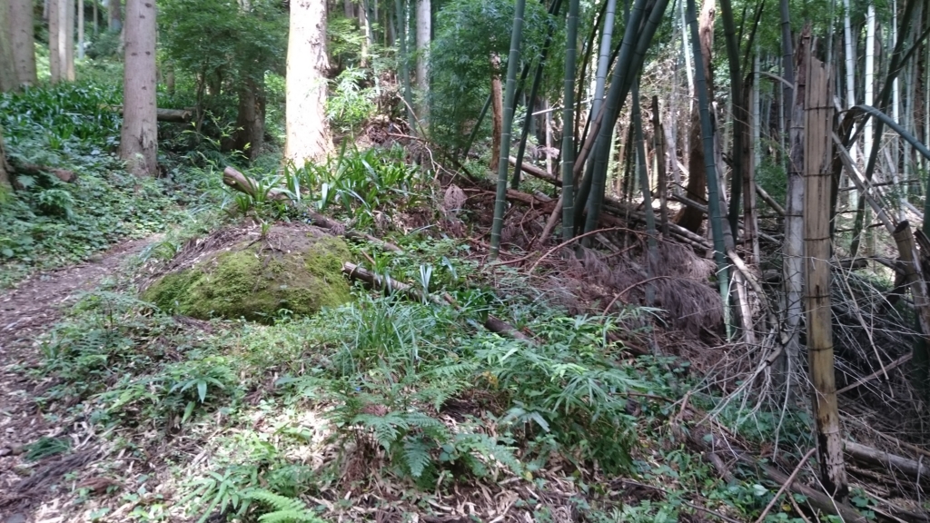 f:id:INU-SUN:20161011132951j:plain f:id:INU-SUN:20161011132951j:plain