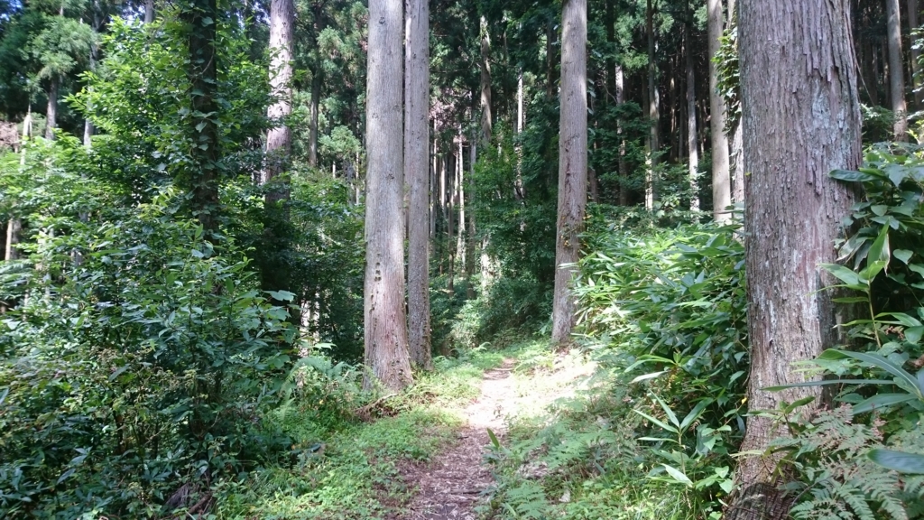 f:id:INU-SUN:20161011134130j:plain f:id:INU-SUN:20161011134130j:plain