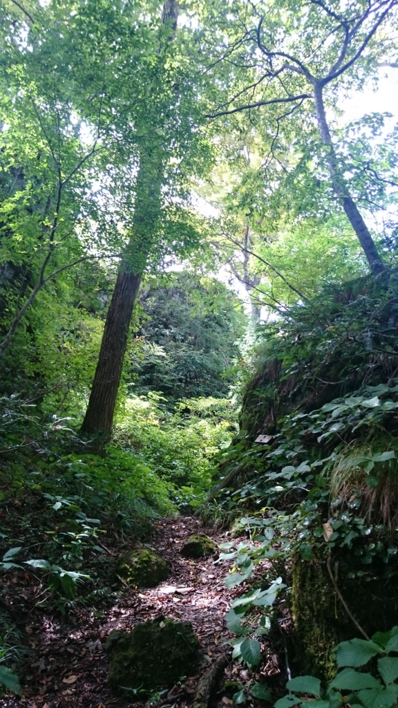 f:id:INU-SUN:20161012114437j:plain f:id:INU-SUN:20161012114437j:plain