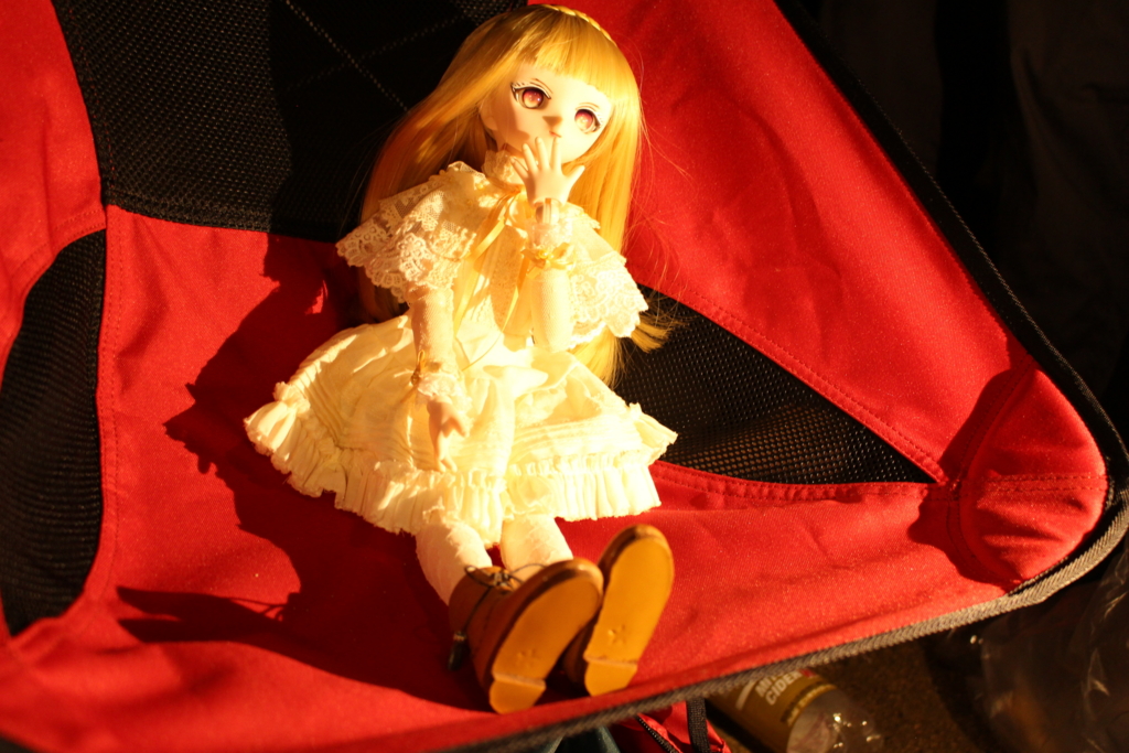 f:id:INU-SUN:20161025120848j:plain f:id:INU-SUN:20161025120848j:plain