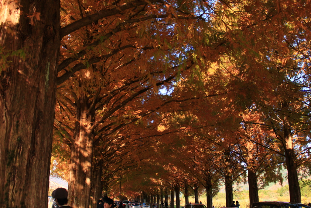 f:id:INU-SUN:20161202203210j:plain