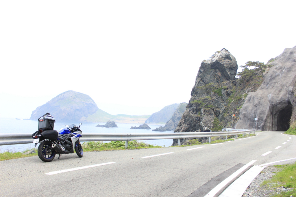 f:id:INU-SUN:20170104042024j:plain f:id:INU-SUN:20170104042024j:plain