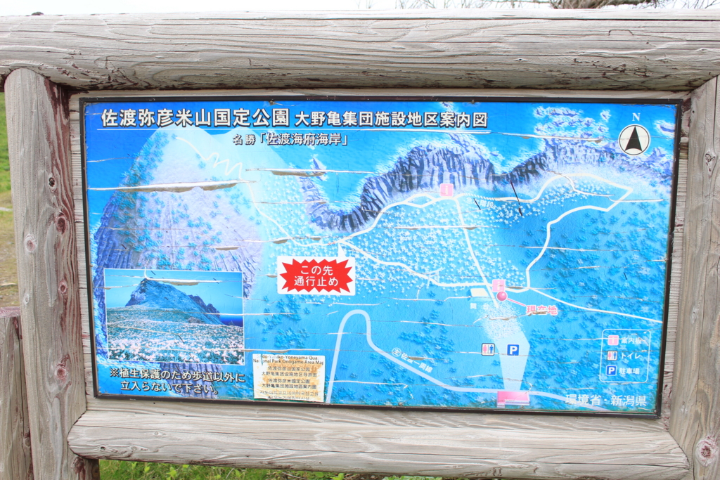 f:id:INU-SUN:20170104042102j:plain f:id:INU-SUN:20170104042102j:plain