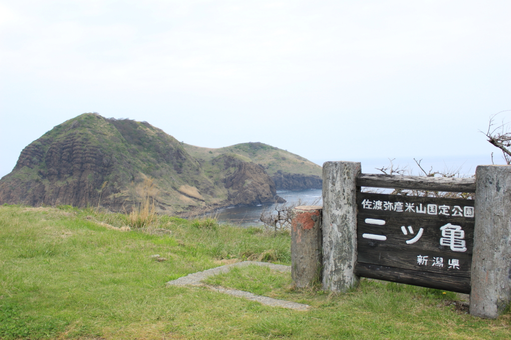 f:id:INU-SUN:20170104042124j:plain f:id:INU-SUN:20170104042124j:plain