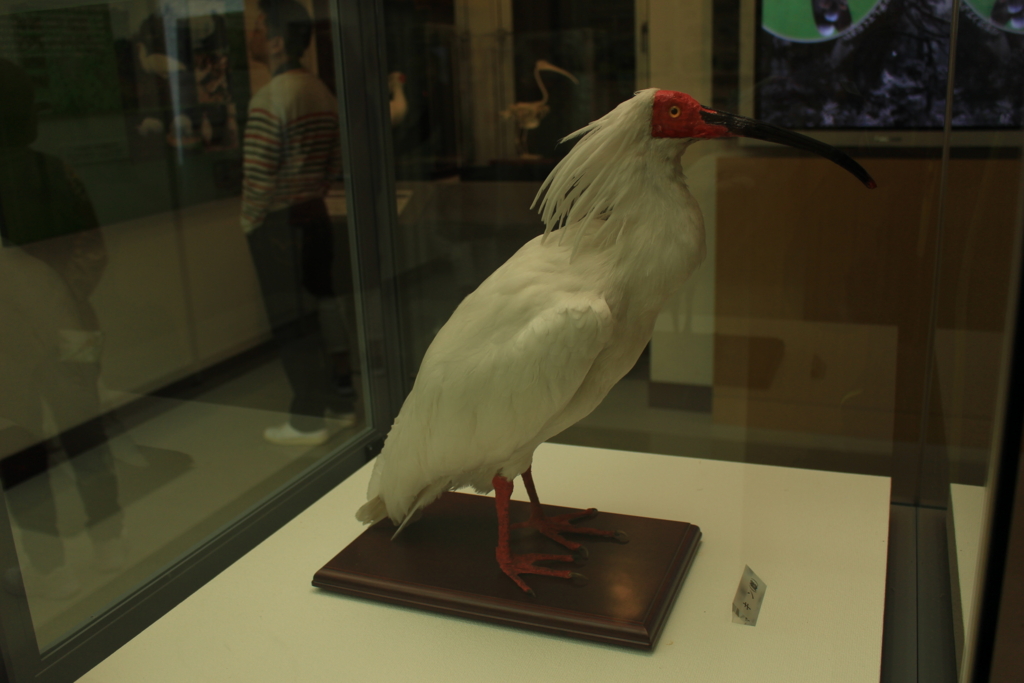 f:id:INU-SUN:20170104050743j:plain f:id:INU-SUN:20170104050743j:plain