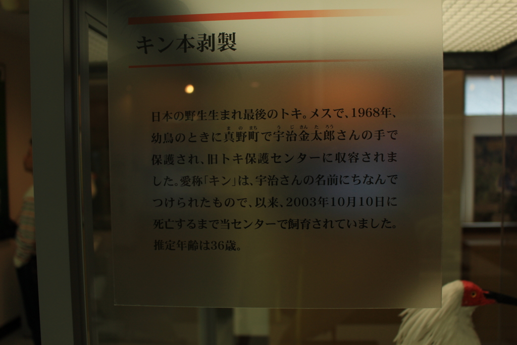 f:id:INU-SUN:20170104050756j:plain f:id:INU-SUN:20170104050756j:plain