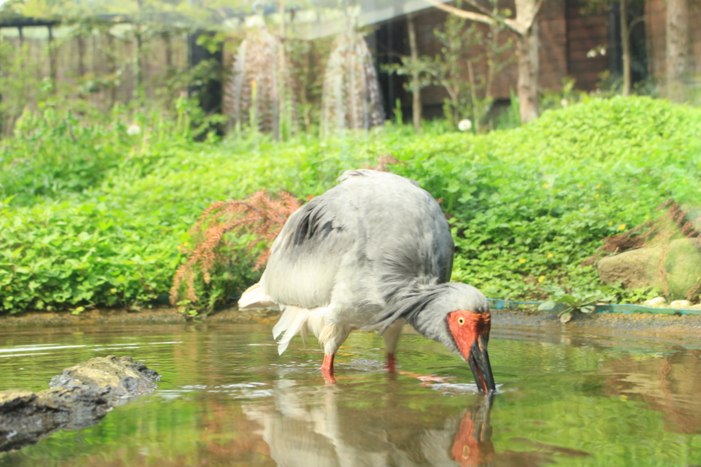 f:id:INU-SUN:20170104050831j:plain f:id:INU-SUN:20170104050831j:plain