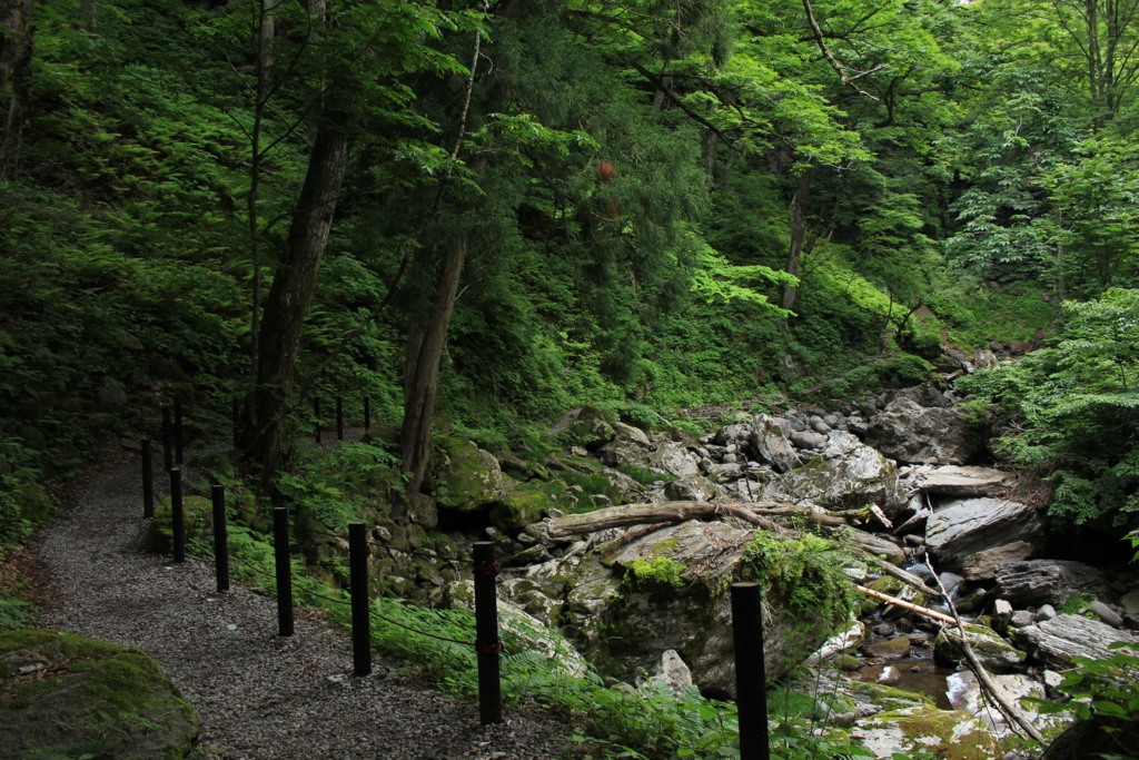 f:id:INU-SUN:20170109113138j:plain f:id:INU-SUN:20170109113138j:plain