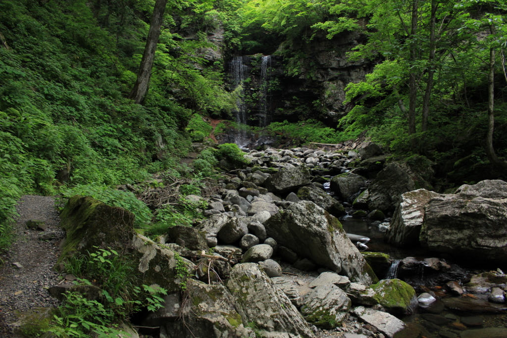 f:id:INU-SUN:20170109113211j:plain f:id:INU-SUN:20170109113211j:plain