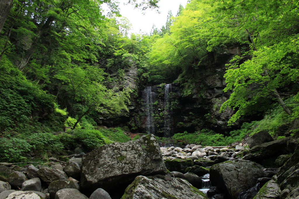 f:id:INU-SUN:20170109113347j:plain f:id:INU-SUN:20170109113347j:plain