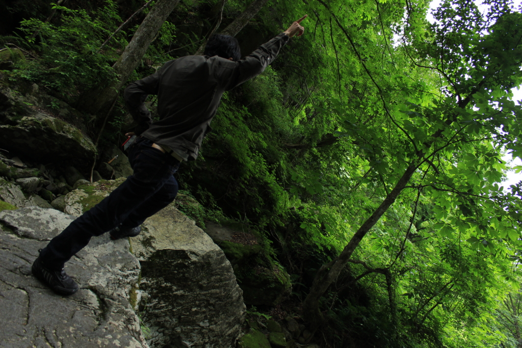 f:id:INU-SUN:20170109113504j:plain f:id:INU-SUN:20170109113504j:plain