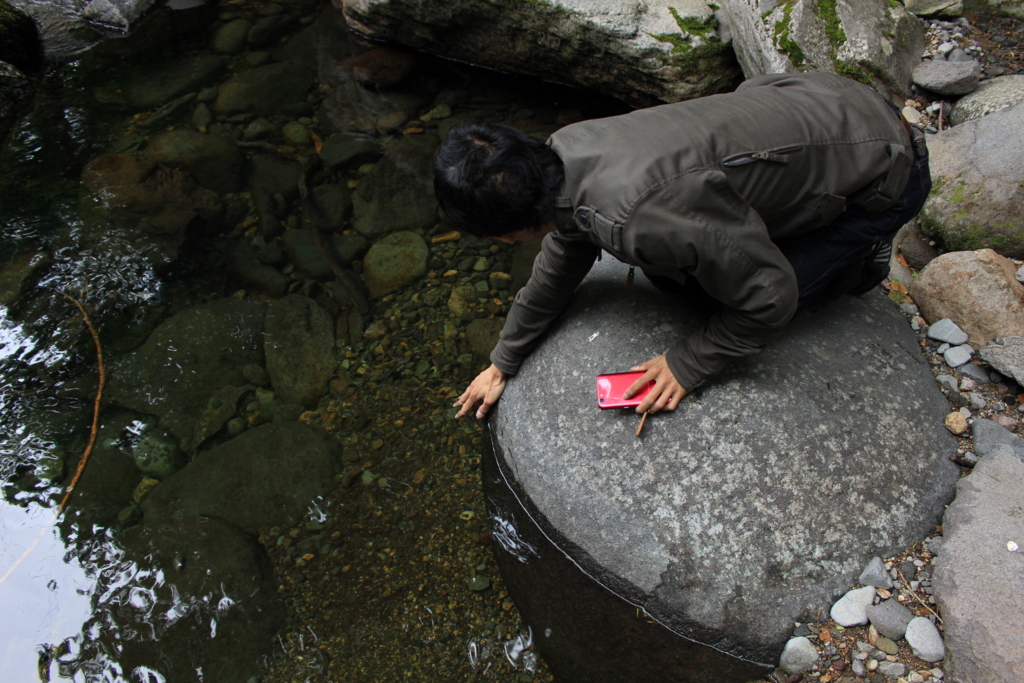 f:id:INU-SUN:20170109113648j:plain f:id:INU-SUN:20170109113648j:plain