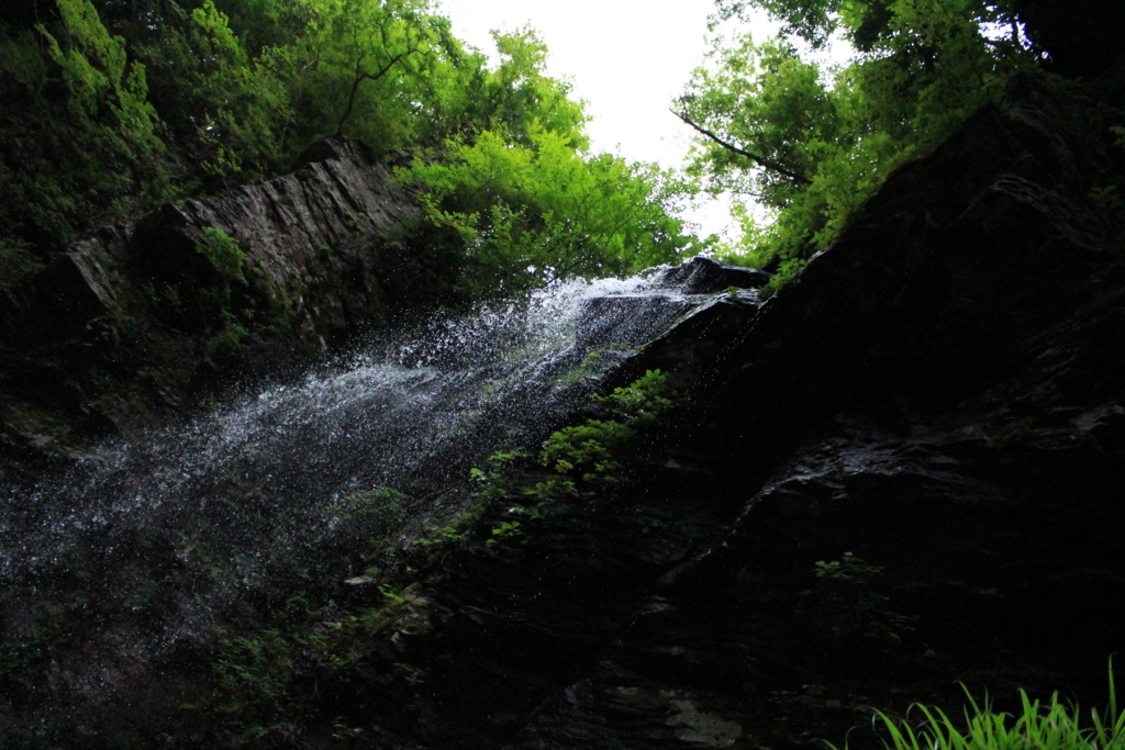 f:id:INU-SUN:20170109113825j:plain f:id:INU-SUN:20170109113825j:plain