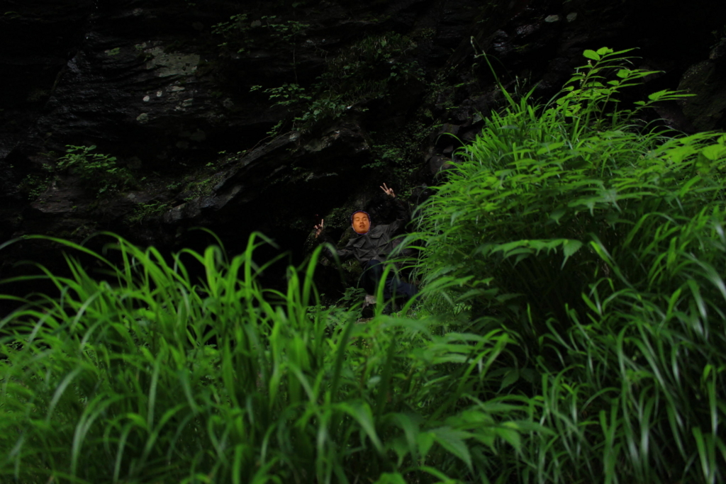 f:id:INU-SUN:20170109114445j:plain f:id:INU-SUN:20170109114445j:plain