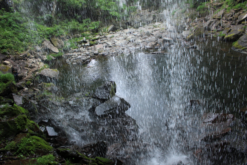 f:id:INU-SUN:20170109115015j:plain f:id:INU-SUN:20170109115015j:plain