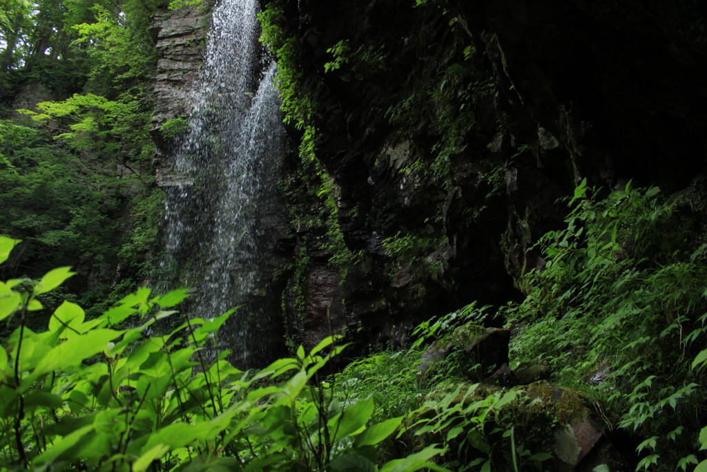 f:id:INU-SUN:20170109115243j:plain f:id:INU-SUN:20170109115243j:plain