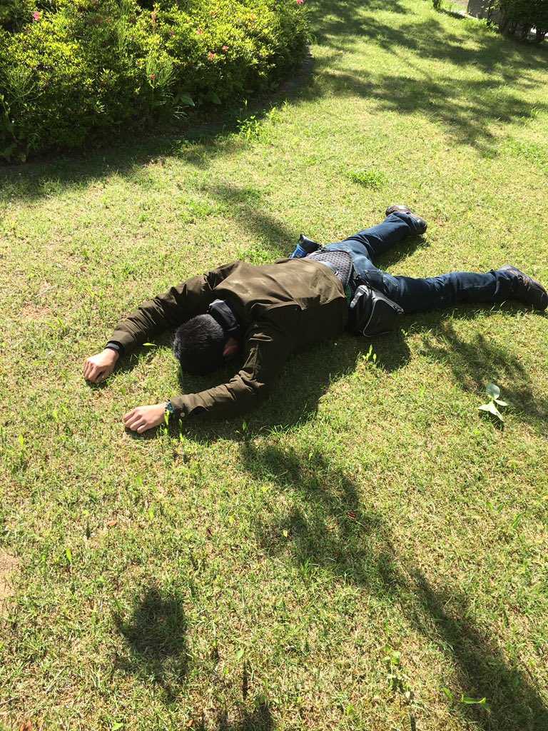 f:id:INU-SUN:20170601033753j:plain f:id:INU-SUN:20170601033753j:plain